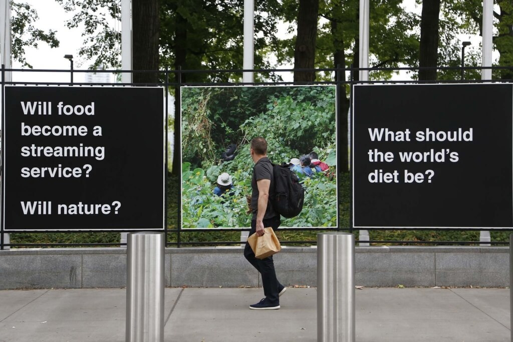OMA Countryside at the United Nations