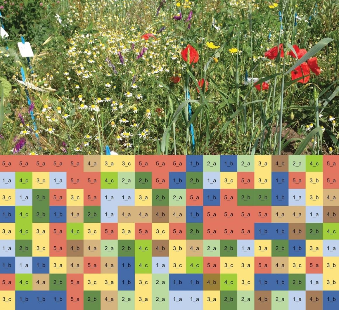 Pixel crop diagram of the Droevendaal experimental farm. Countryside at the United Nationsby AMO. Photographer-Lenora Ditzler, Wageningen Univerity Research