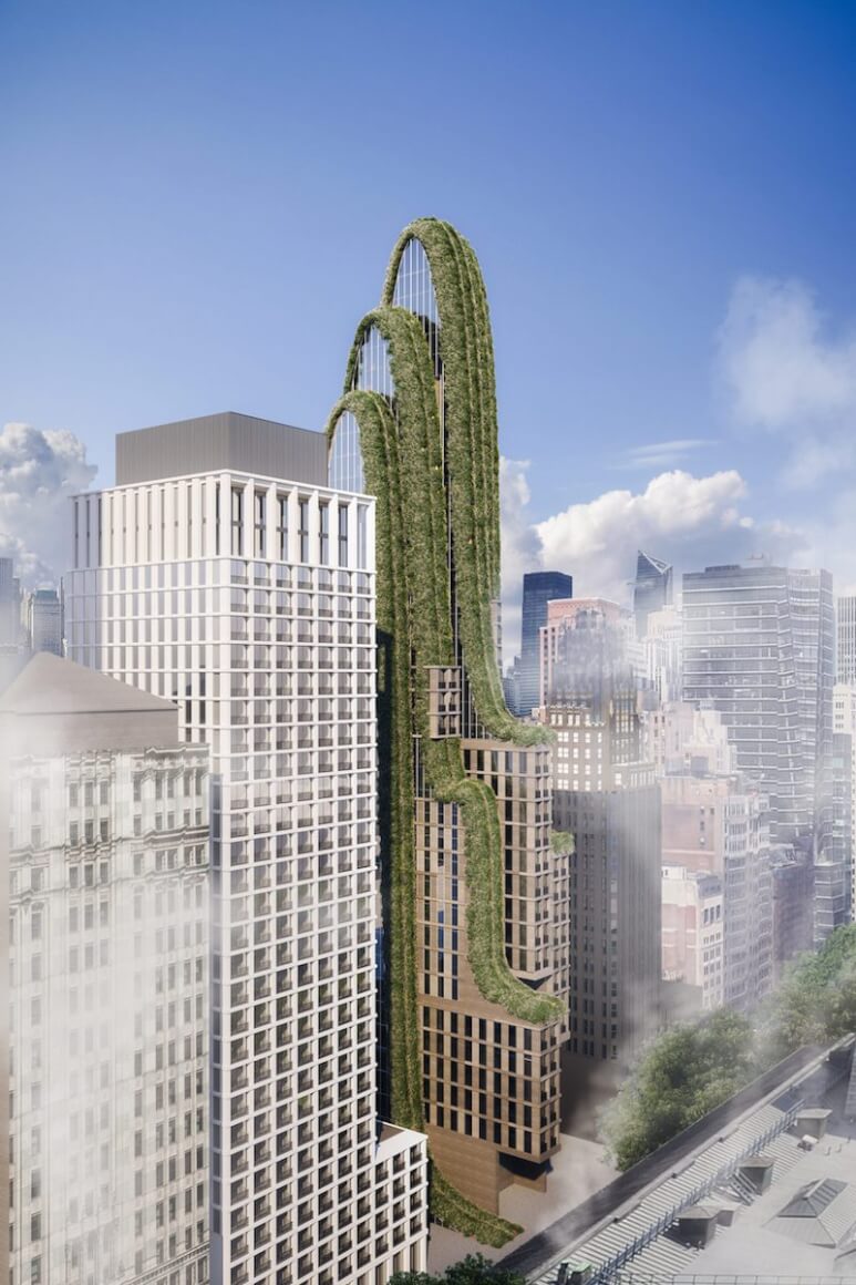 Lilly by Studio Vural