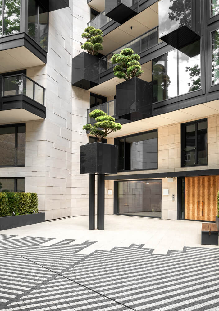 House of The Flying Trees