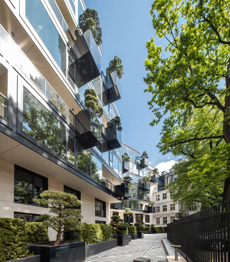 House of The Flying Trees