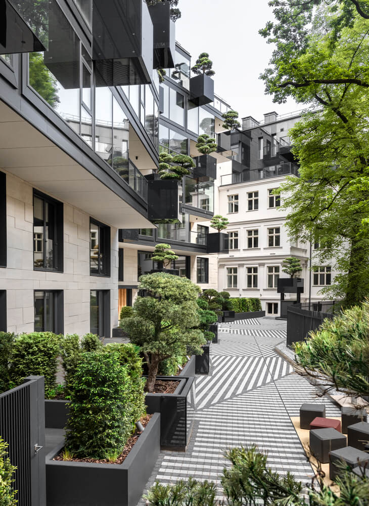 House of The Flying Trees