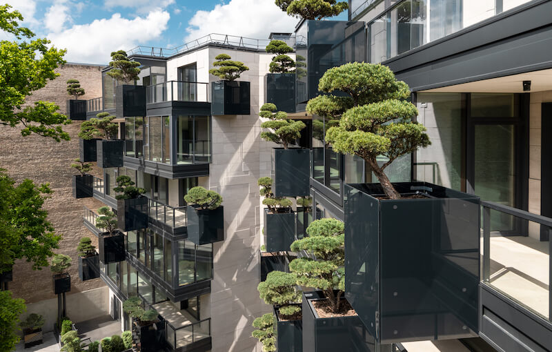 House of The Flying Trees