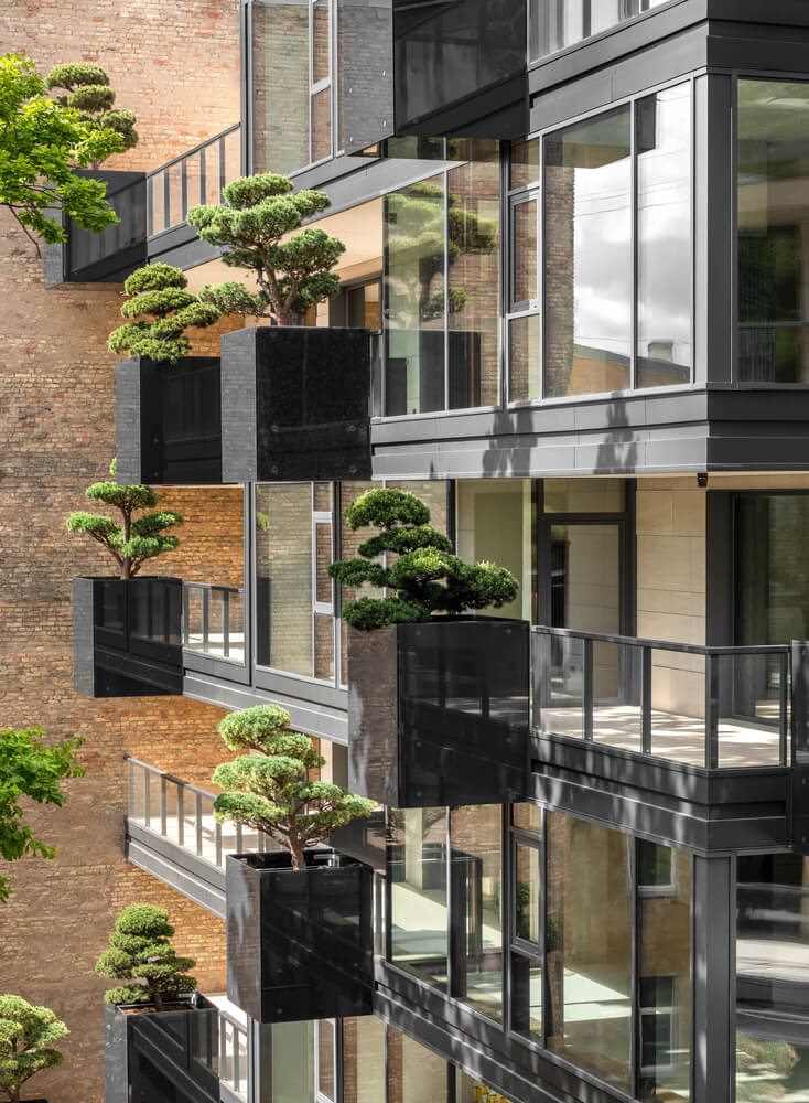 House of The Flying Trees