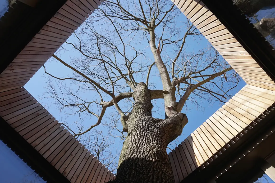 Haus am See by Carlos Zwick Architekten BDA