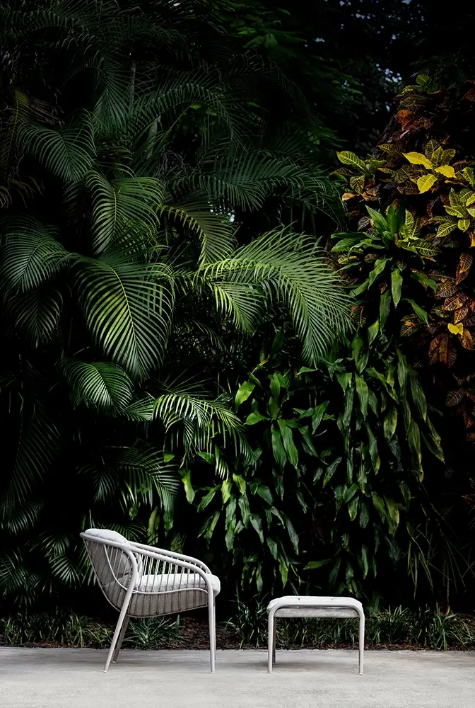 Palmera Collection by Stark Scott Studio