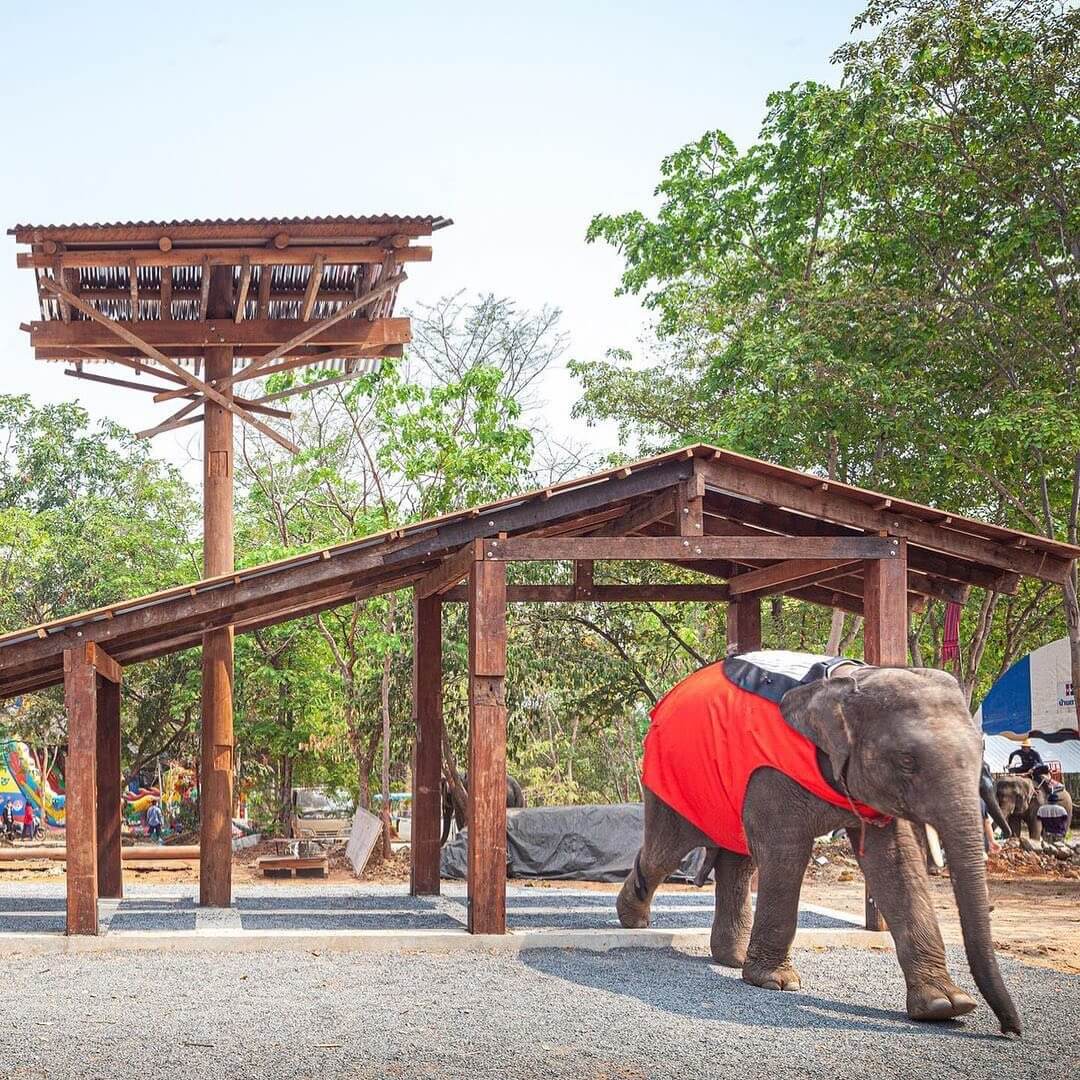 Boonserm Premthada's design for the Thailand Pavilion at the Venice  Biennale explores how humans and animals can live in harmony with nature -  Global Design News