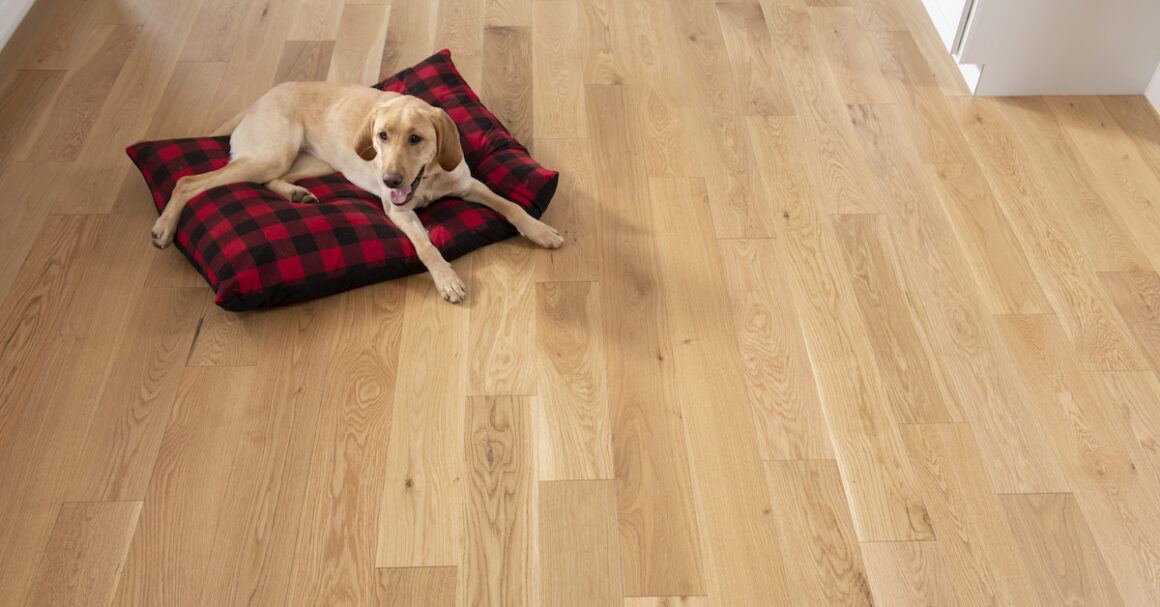 Bruce® Dogwood™ Densified Wood Technology by Michele Zelman, AHF Products