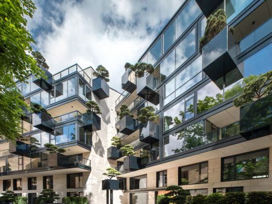 House of the Flying Trees