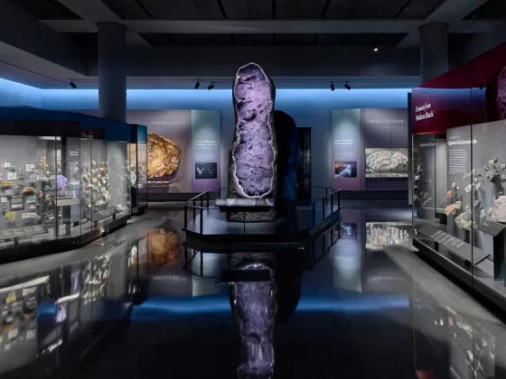 The Allison and Roberto Mignone Halls of Gems and Minerals