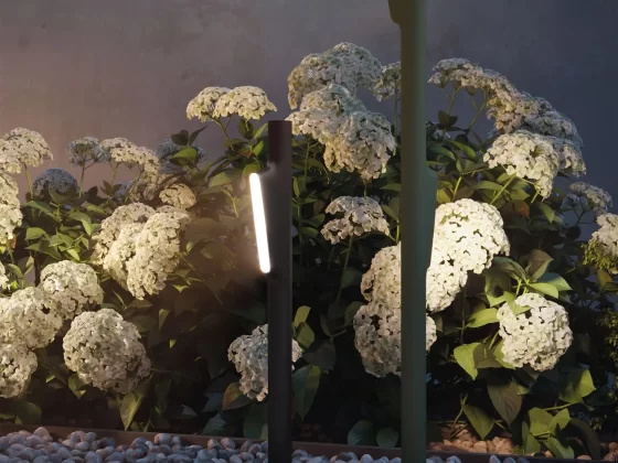 Rosebud by Neil Poulton