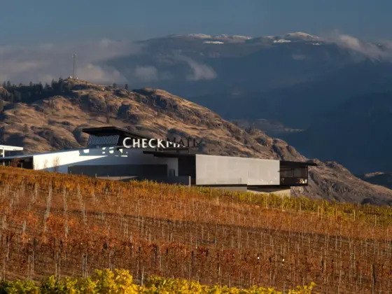 CheckMate Winery